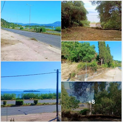 ΠΡΟΣ ΠΩΛΗΣΗ ΟΙΚΟΠΕΔΟ –ΜΕΖΟΝΕΤΕΣ- ΑΛΥΚΕΣ ΠΟΤΑΜΟΥ ΚΕΡΚΥΡΑΣ