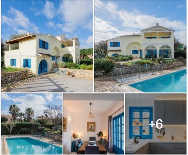 ΛΕΜΟΝΟΔΕΝΤΡΟ ΣΠΙΤΙ Γουβιά Κέρκυρα