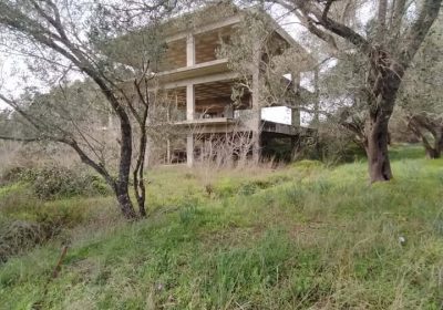 643445419_1529564848880399_88568403927657137_n