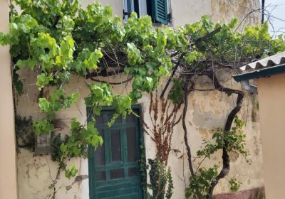 646368741_25879242861769474_4782823253547051332_n