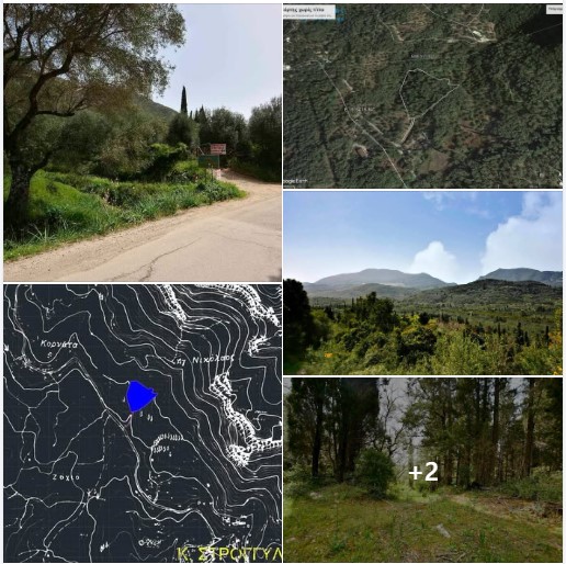 Πωλείται ενα αρχοντικο, οικογενειακό, ηλιόλουστο κτήμα 10 στρεμμάτων στην περιοχή Σταυρό προς Στρογγυλη Κέρκυρας.